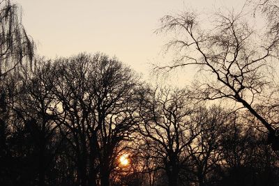 sunset silhouete