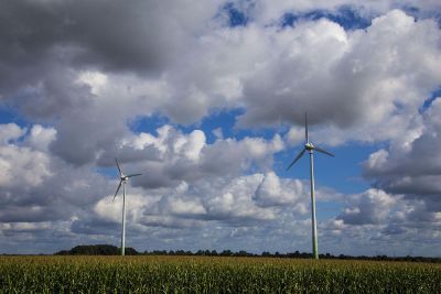 windmills in a field