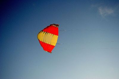 kite in the sky