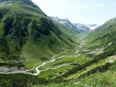 green landscape