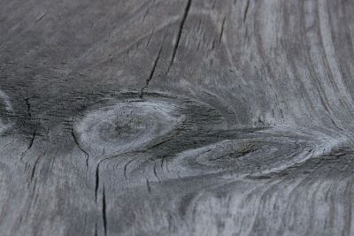 dry cracks in wood