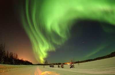 aurora lights in the sky