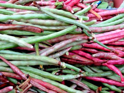 fresh red and green beans