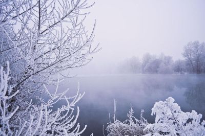 misty winter morning