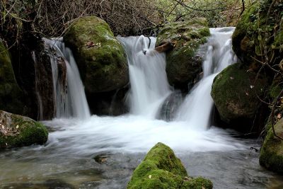 white waters on the falls