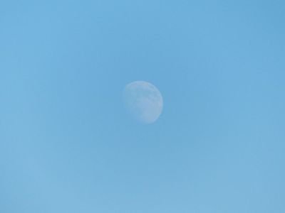 moon in the daytime