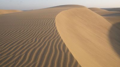 landscape in the desert