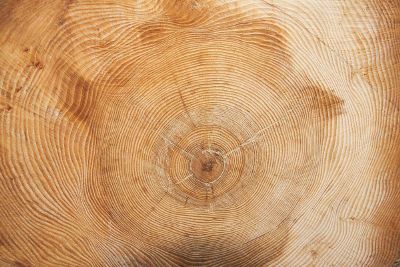 wood patterns
