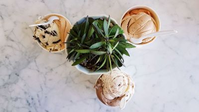 ice cream around potted plant