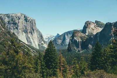 mountains and trees