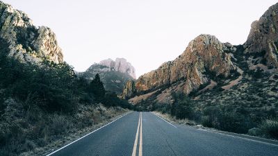 empty road with trees and rocks