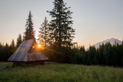 lonely cabin in a field
