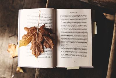 leaf on book