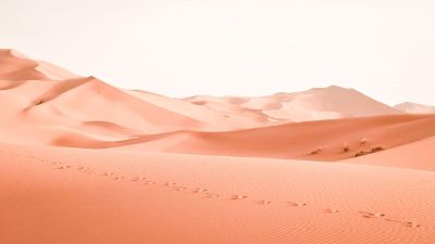 foot prints in desert