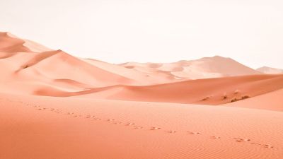 foot prints in desert
