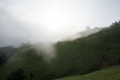 fog on rolling green hills