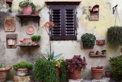 wall with potted plants