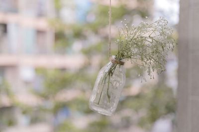 flowers in bottle