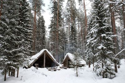 huts in the forest in winter