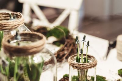 plants in a mason jar