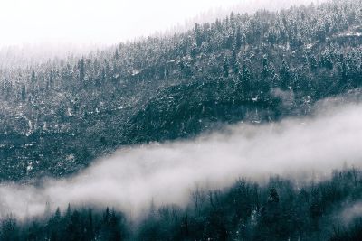 fog over the range