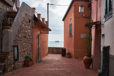 red houses near coast