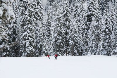 two people playing in snow