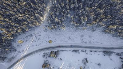 aerial view of road in woods