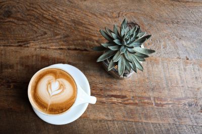 coffee and succulent on wood