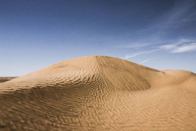 desert afternoon