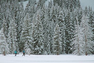 people walking in snow