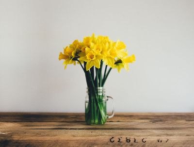 yellow flowers in a mason jar