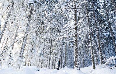 woman in a snowy forest