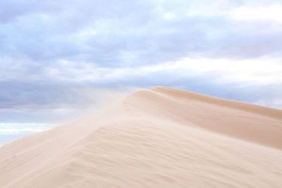 desert view of sand