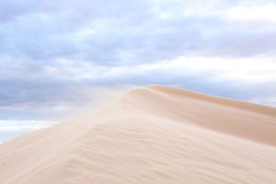 desert view of sand