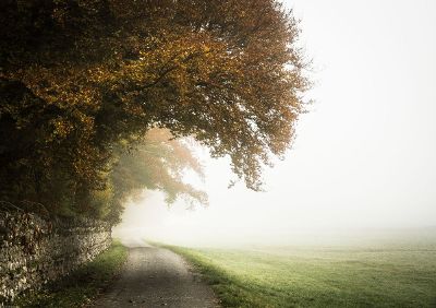 secluded path