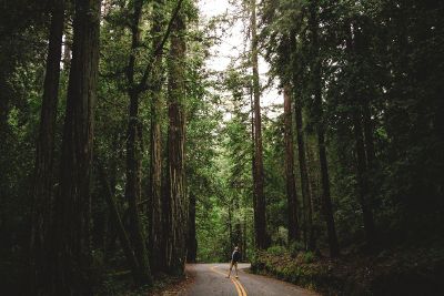 walking on road amidst trees