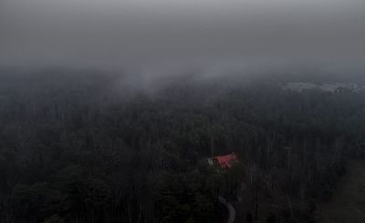 house on foggy wood