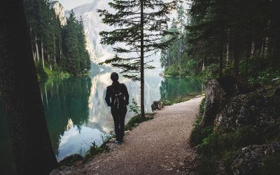 hiking in forest near lake