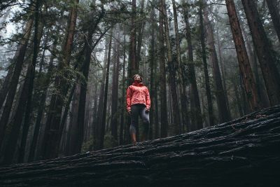 hiking in forest