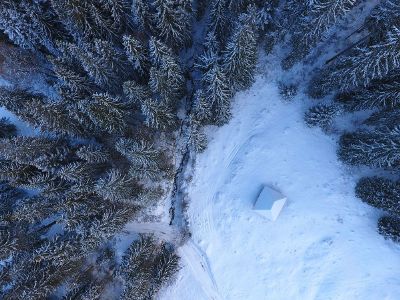 snow forest and cabin