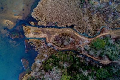 rivers and forest