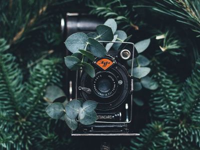 camera in plants