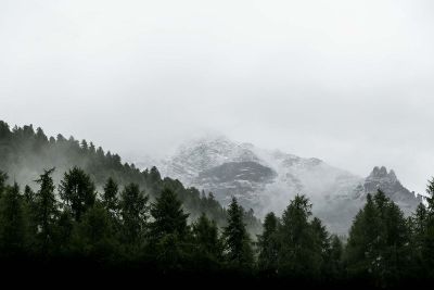 foggy mountains with trees