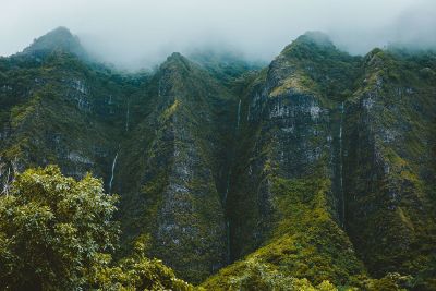 foggy green cliffs