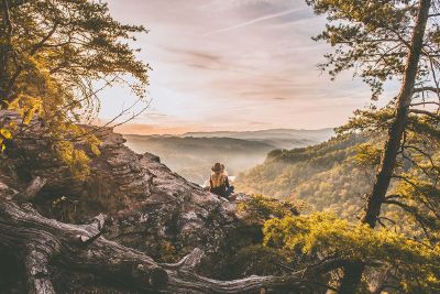 taking in the views