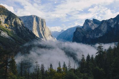 mountain forrest