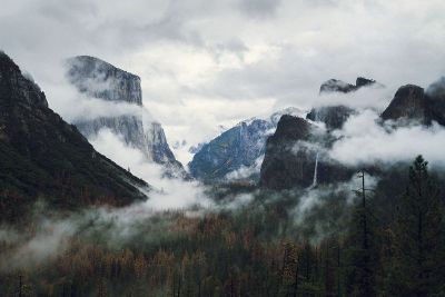 cloudy mountain forest