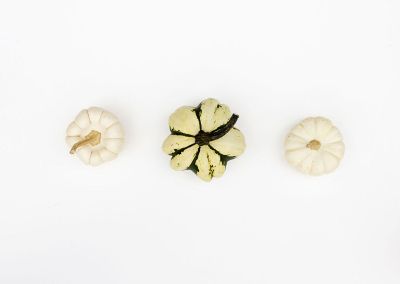 small pale pumpkins