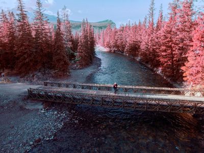 solitude on a wooden bridge